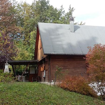 Vila Uno Chalet Nel Bosco Lama Mocogno Exteriér fotografie